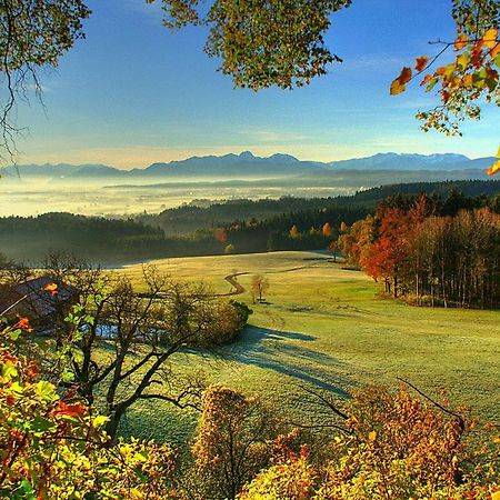 Hotel Zur Schonen Aussicht Feldkirchen-Westerham Ngoại thất bức ảnh